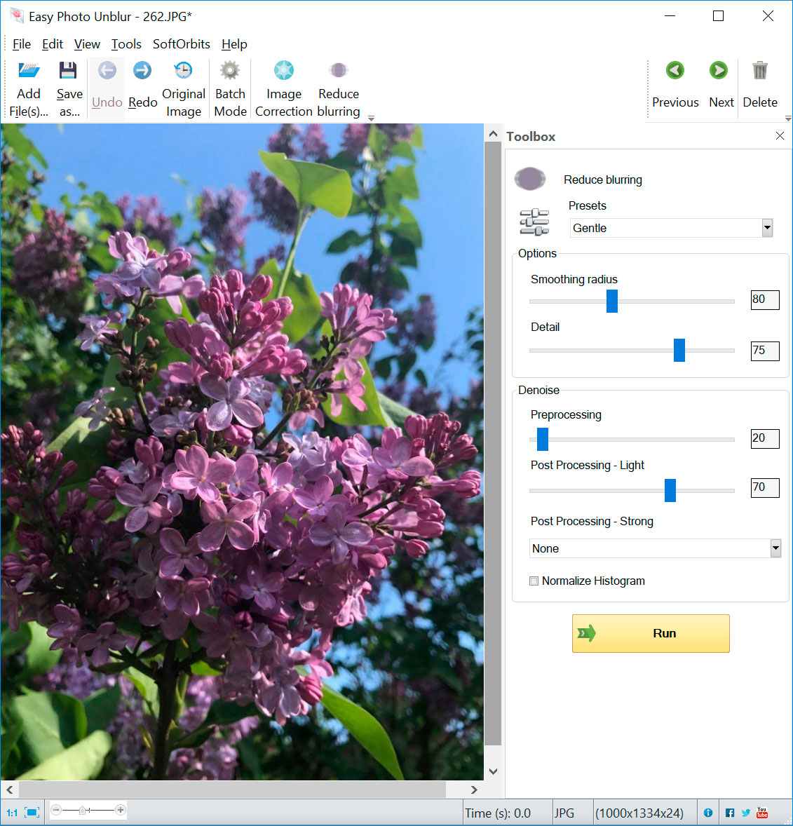 ublur photo - before
